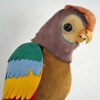 Pete the Parrot13 1