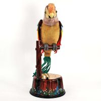 Pete the Parrot19 1