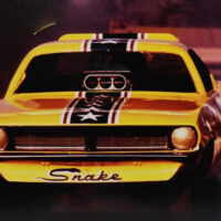 Hot Wheels Legends to Life Don “the Snake”